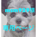 msm929様専用ページ