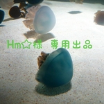専用出品です☆