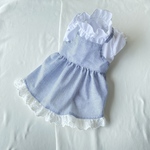 《一点もの》爽やかストライプとレースが可愛い犬用ワンピース｜立て襟ブラウス風｜小型犬服｜春夏お出かけ着