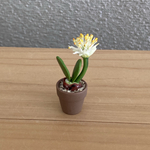 ふでらん　ちび花鉢