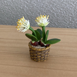 ふでらん　網目模様の花鉢