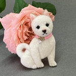 羊毛フェルト　白柴犬のブローチ