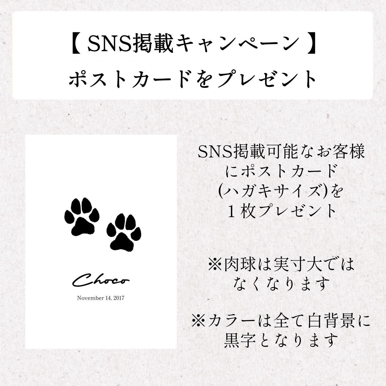 new【箔押しペット命名書】実寸大/肉球/わんちゃん/ねこちゃん/ペット