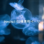 《poncha1122様専用ページ》