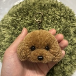 ＊うるうるトイプードル　毛糸キーホルダー＊薄茶　ブラウン　ぬいぐるみマスコット　犬　ペットグッズ　オーダー　猫　うちの子