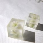 ice baby's breath pierce or earring