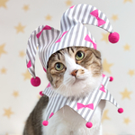 猫柄×ストライプリボン柄 ピエロセット 🤍🎀 グレー×ピンク