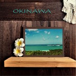 【送料無料】南国の風景☆OKINAWA No.914                        フレーム付    A4サイズ