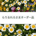 らりるれろさまオーダー品