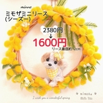 ミモザ ⚘ わんちゃんの ミニリース  シーズー (蝶々ver)