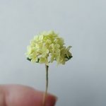 アナベル（黄緑）西洋アジサイ　ミニチュアフラワー