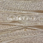 ［インド刺繍リボン(白レース限定)］1m×5本アソートセット