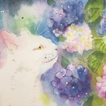 【原画】紫陽花と猫《はがき》