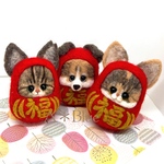 C様ご依頼品