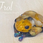 Frol〜botanic frog〜【訳あり】