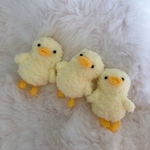 もふもふベビーひよこ