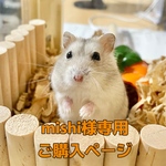 mishi様専用ご購入ページ♡うちの子お名前プレート