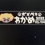 専用ページ