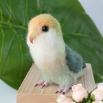 送料無料CP中　「ふわり、心にとまるコザクラインコ」　羊毛フェルト