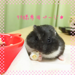 99様専用ページ