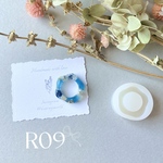 Ｒ０９