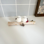 白樺にとまるふくふくシマエナガ ＊ペッパーベリー