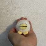 あひる(まだとべない)