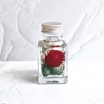 【枯れないお花のギフト】ミニハーバリウム 【No.071】red green レッド グリーン バラ