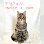 うちの子オーダー　オーダーメイド羊毛フェルト　羊毛フェルトで作る愛猫ちゃん　羊毛フェルト猫
