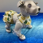 【セットアップ】aibo ちゃんのあ！パイナップルなセットアップ