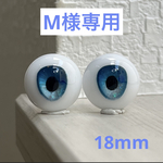 レジンアイ 【⠀M様専用 】