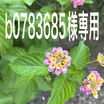 b0783685様専用ページ　ショルダーバックオーダー