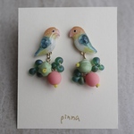 シロハラインコのイヤリングorピアス