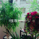 f様専用