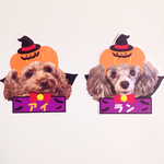 ハロウィンワンコステッカー(ハロウィンの時期になりましたら販売開始します）