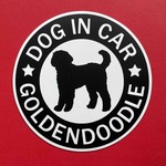 犬（ゴールデンドゥードル BK）マグネット ステッカー　防水　車用