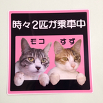 ペット車用ステッカー（時々猫乗車中）2匹用