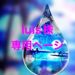 luis様専用ページ