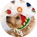 夏限定♡"フルーツバブーシュカ〔犬.猫用〕"▶︎犬用アクセサリー　犬猫グッズ　夏服　スイカの洋服　オーダー