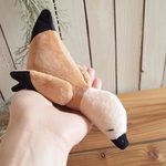 ネムネムなアカツクシガモさん