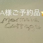 ⭐️A様ご予約品⭐️