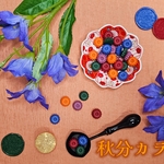 ※同一住所2点まで〖リピーター様専用〗秋分カラー【6粒×5種類 計30粒13g】シーリングワックス〈Z-014〉