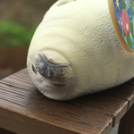 優雅な暮らし