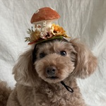 きのこ🍄のカチューシャ