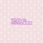 マルプーのさらちん様専用ページ