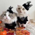 《ペットHalloween選べる2色お花スタイ&ハット》ハロウィン　クラウン　王冠　わんこ　いぬ　犬スタイ　犬　ビブ　スタイ　猫　コスチューム　帽子　うちのこ　うちの子　バースデー　誕生日　ねこ