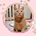 himwr0710  様 専用ページ✨