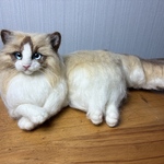 羊毛フェルト　オーダー　