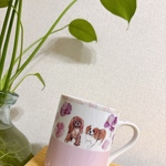 tmyk5様専用ページ