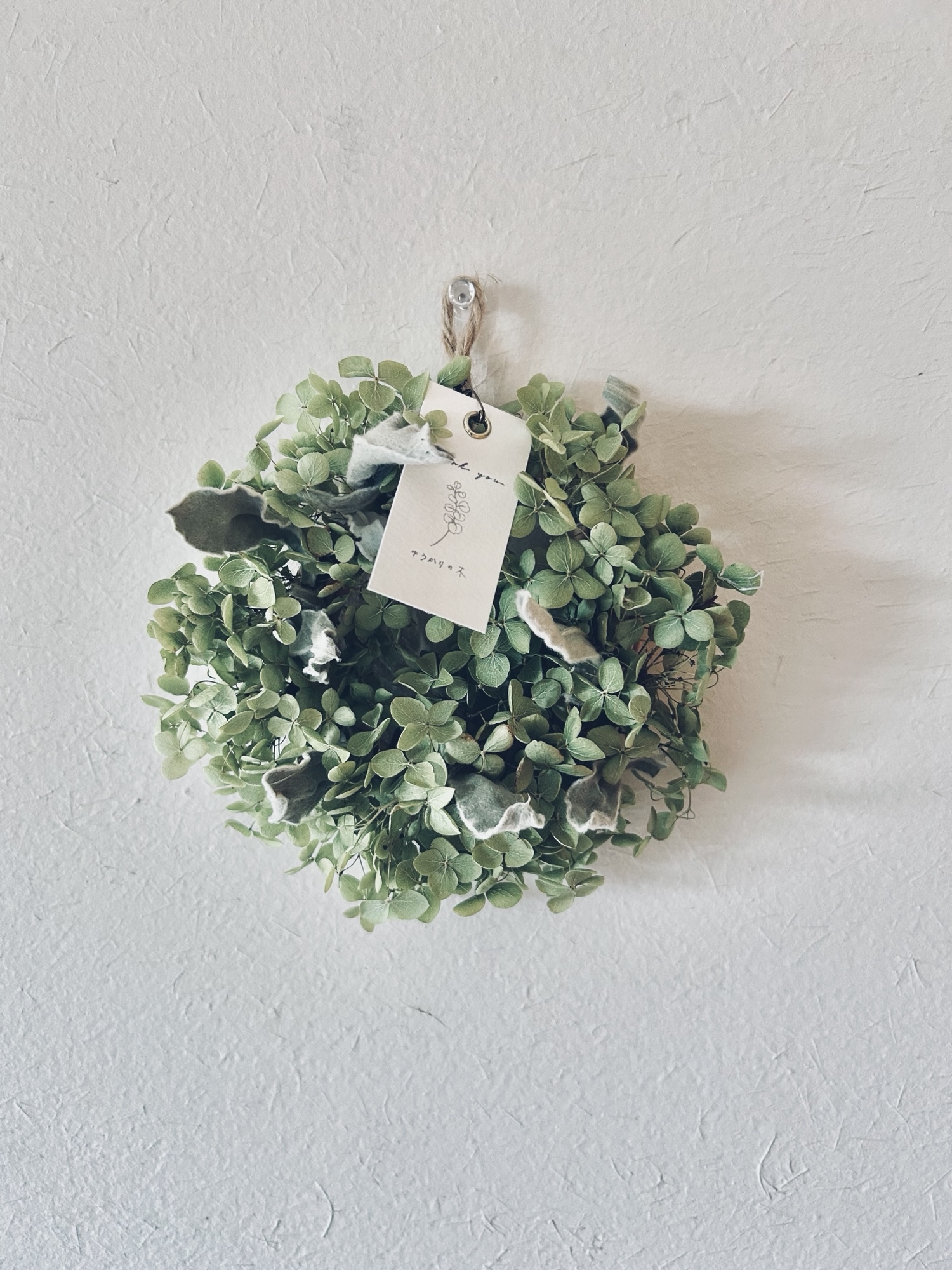 ユーカリのガーランド ユーカリポポラス - ゆうかりの木 | minne byGMO